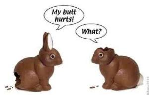 a.aaa-funny-easter-chocolate-rabbi (2)
