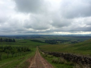 Actual long slow hill for Sunday