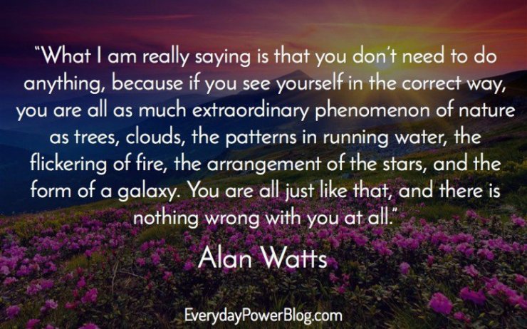 alan-watts-quotes-21-e1441164228615
